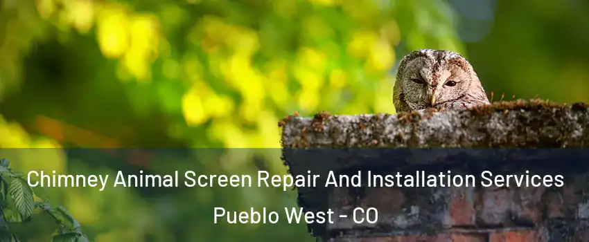  Chimney Animal Screen Repair And Installation Services Pueblo West - CO