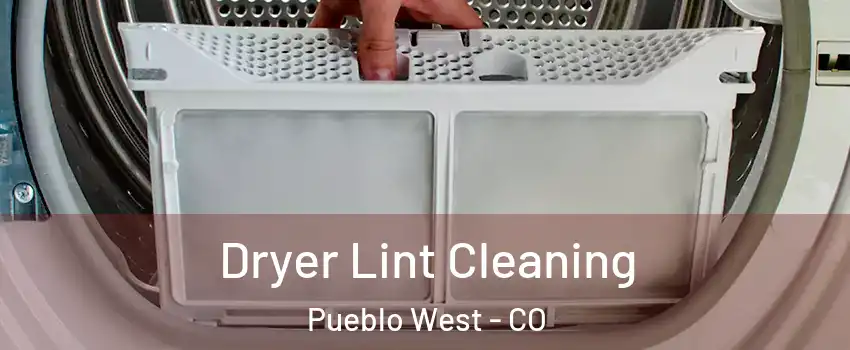  Dryer Lint Cleaning Pueblo West - CO