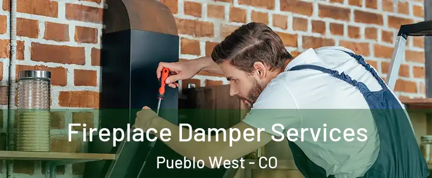  Fireplace Damper Services Pueblo West - CO