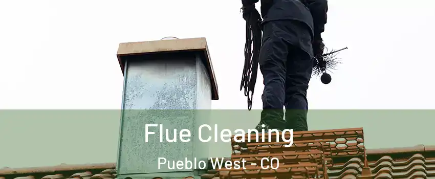  Flue Cleaning Pueblo West - CO
