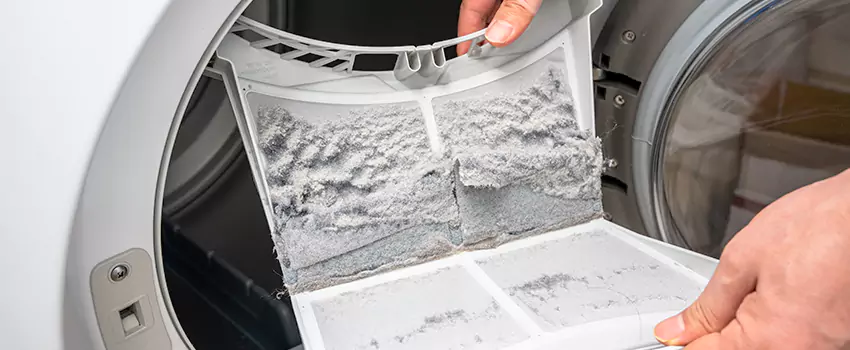 Best Dryer Lint Removal Company in Pueblo West, Colorado