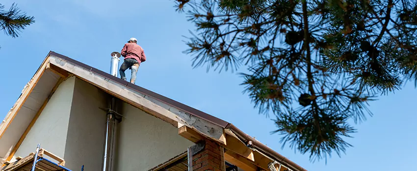 Birds Removal Contractors from Chimney in Pueblo West, CO