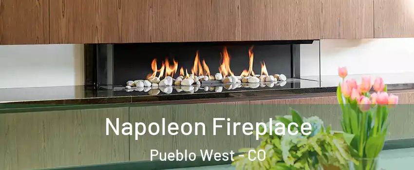  Napoleon Fireplace Pueblo West - CO